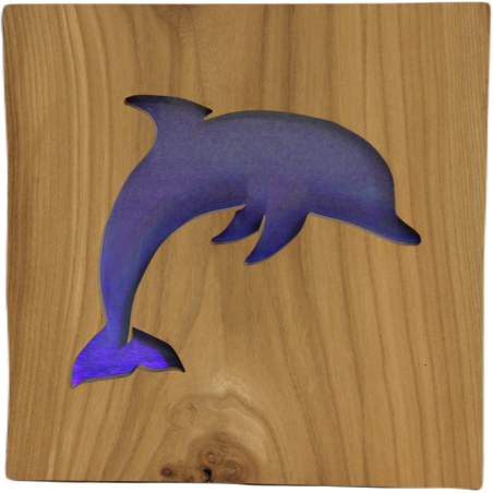 Tableau déco dauphin - moyen